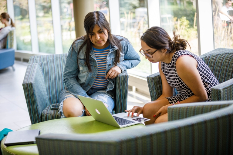 two students studying